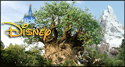 Disney World Vacation Packages